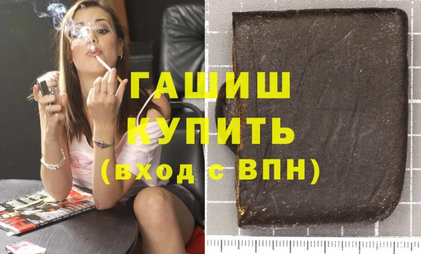 индика Туринск