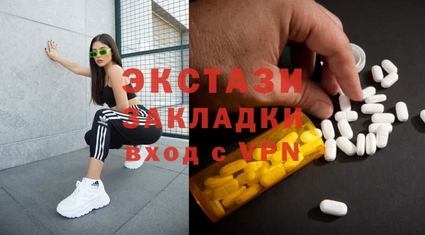 шишки Сосновый Бор