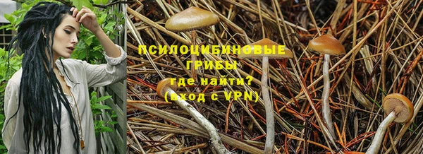 кокаин перу Ладушкин