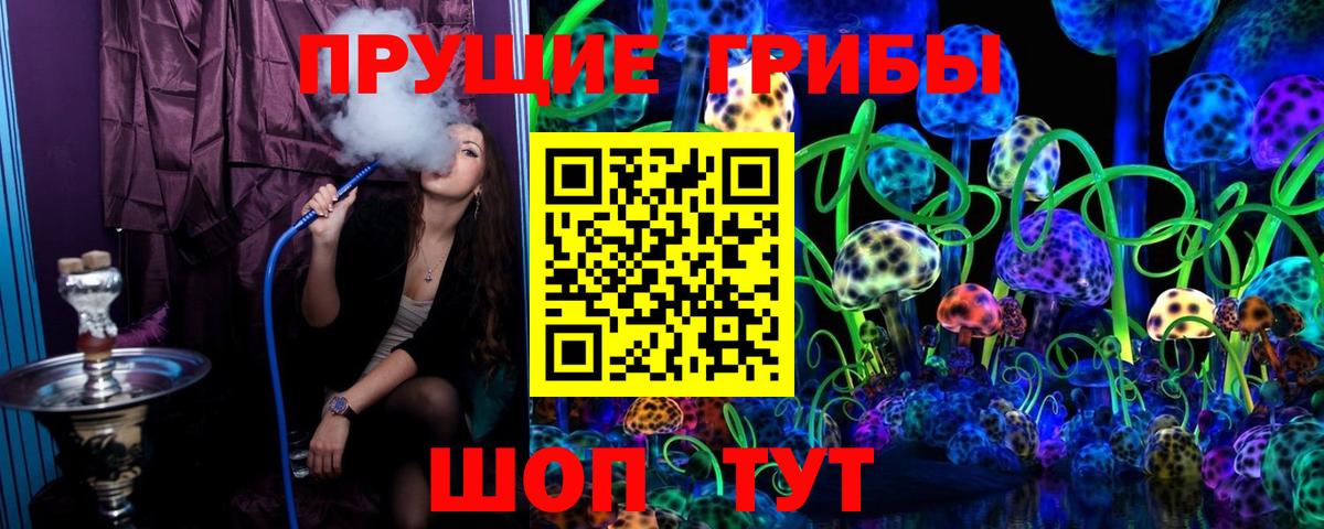 Дятьково  Галлюциногенные грибы Cubensis  наркотики  Вход с VPN 